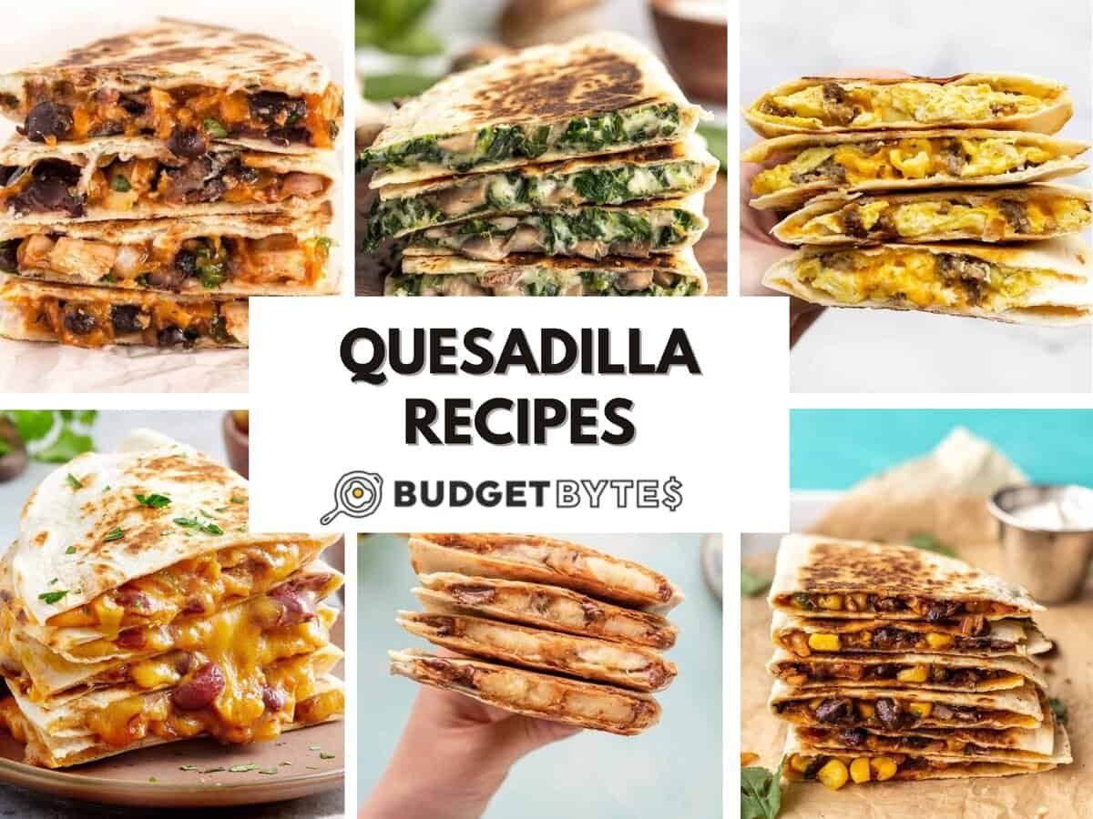 15 Quesadilla Recipes